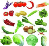 <b>2026年深圳食堂承包品牌权势巨子保举：新之光餐</b>